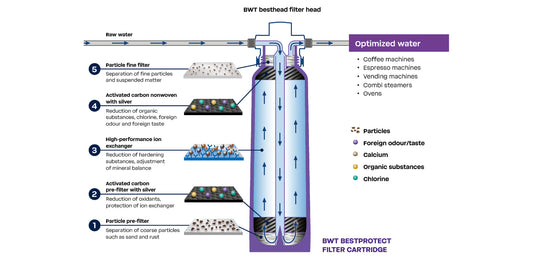 BWT Bestprotect Water Filter Cartridge